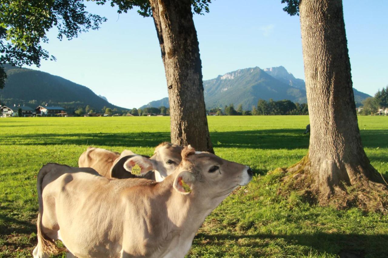 Vintage Kammerl Schoenau am Koenigsee Luaran gambar
